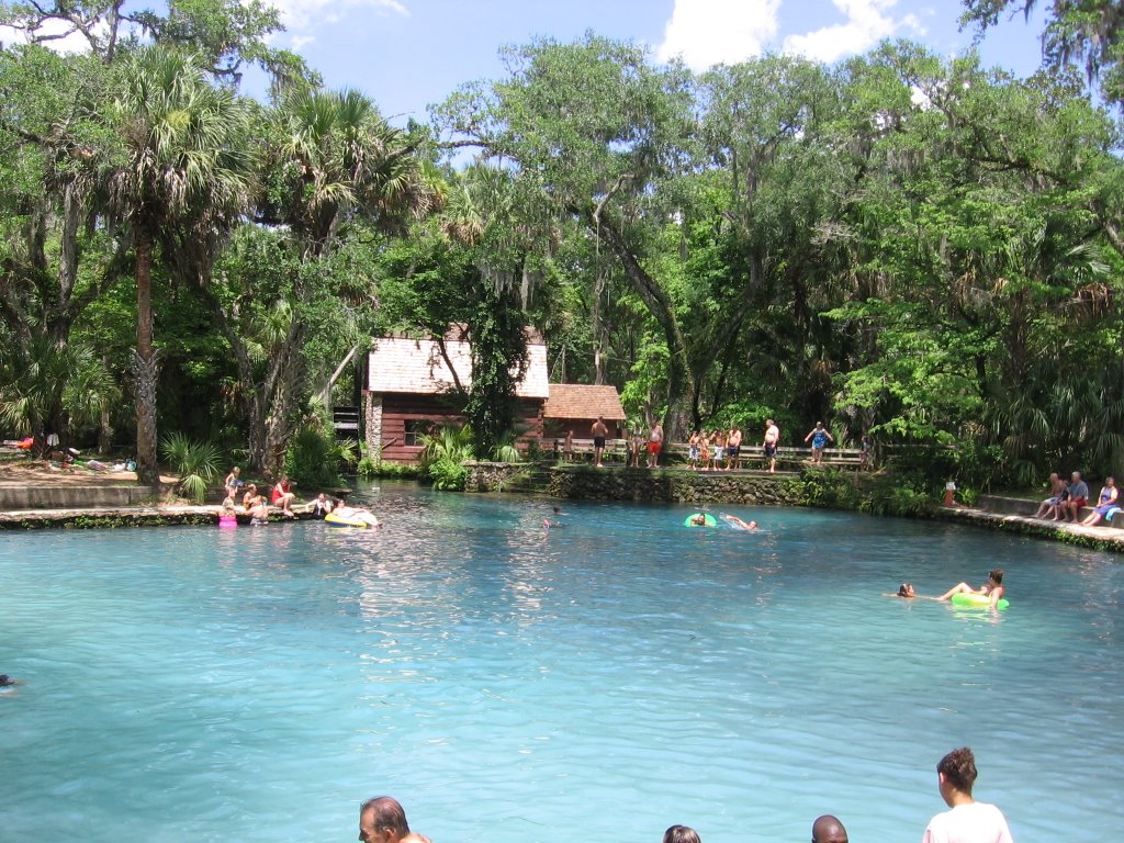 Juniper Springs by pbbear184