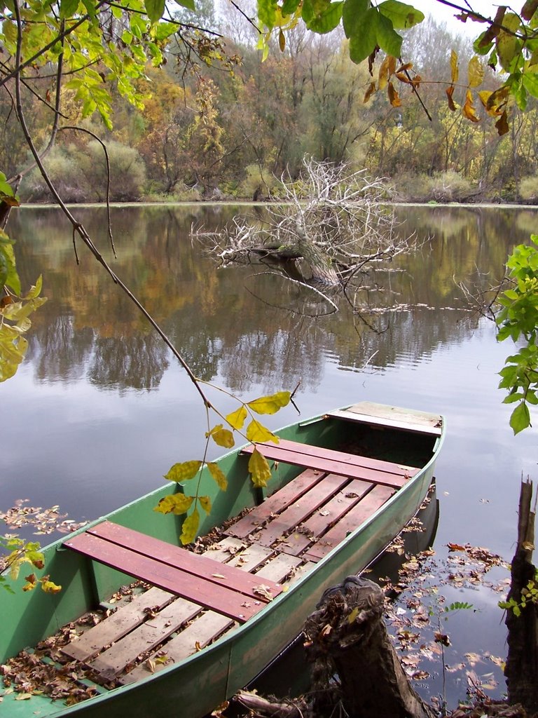 Tőserdő-Holt Tisza by Pipti