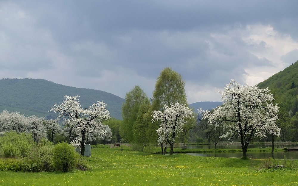 Vlahovo by moozg