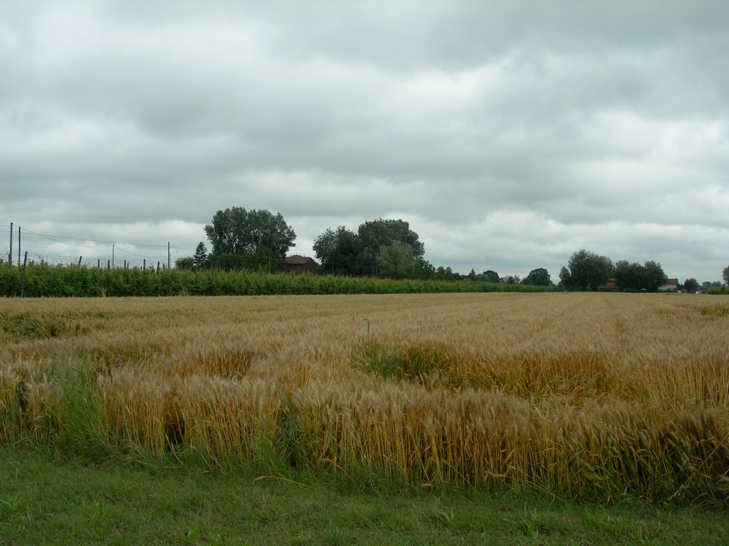 S.Agata sul Santerno(RA) - campagna by © magnanela