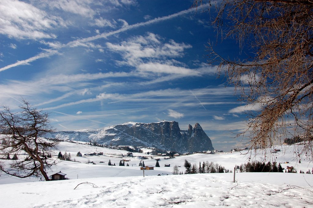 Seiser Alm by Christian Schweiger