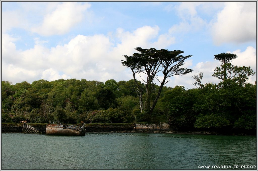 Coastview near the Dunboy-Castle, Ireland Co. Cork by Marina Frintrop