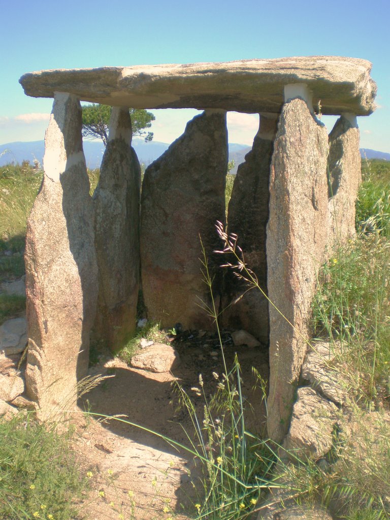 Dolmen Vinyes Mortes 1 by aalegre