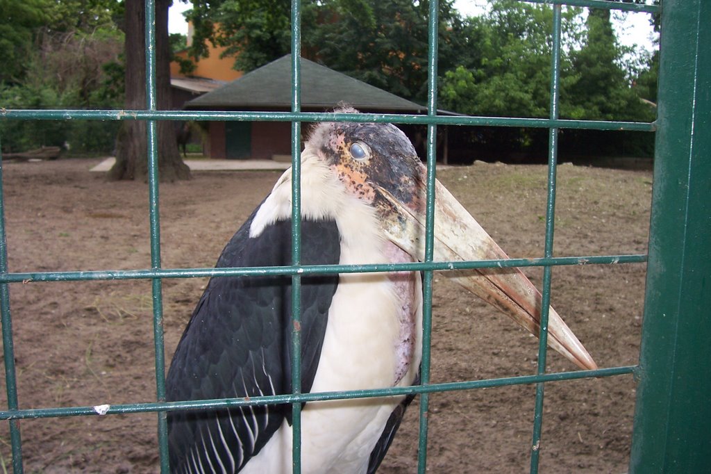 Maksimir Zoo by gerd j.