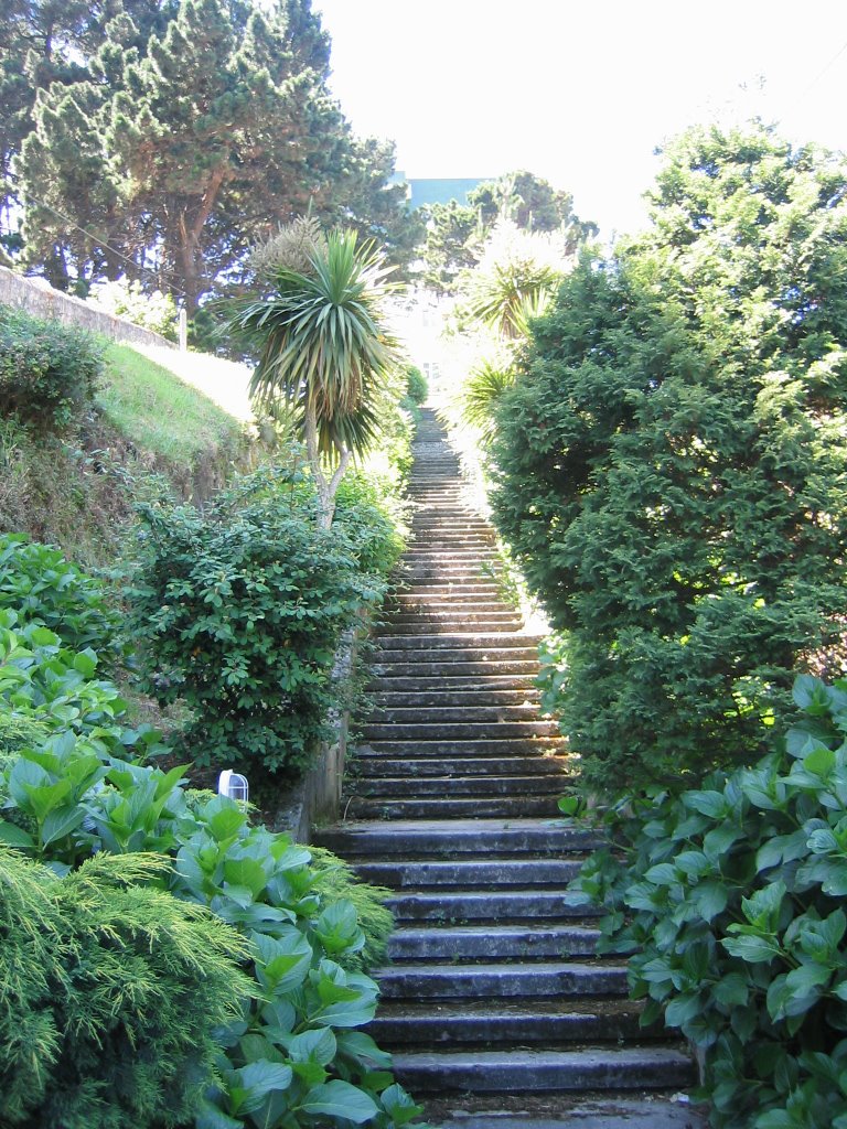 Escalinata del Instituto Meteorológico by macquintos