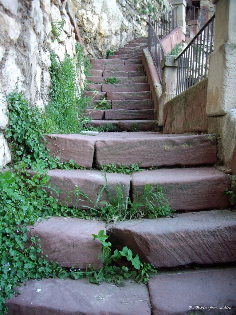 Escalera / Stairs by ebolufer