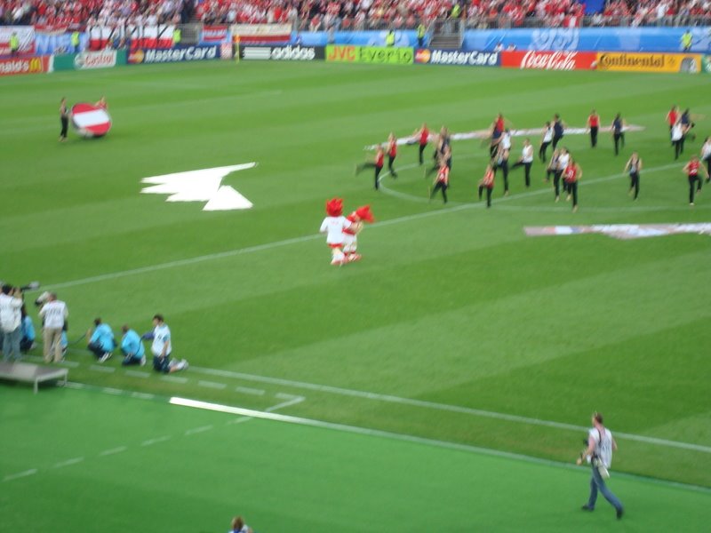 EURO 2008 Polska - Austria by sakalia