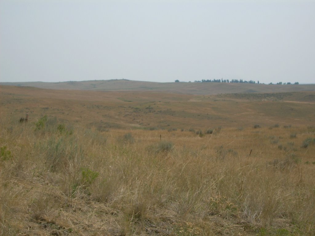 Battle of the Little Big Horn National Monument by Bruce Amsbary