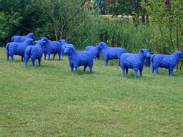 Blue Sheeps at Landes Gartenshau, Schleswig by Claus Brinch-Daniels…