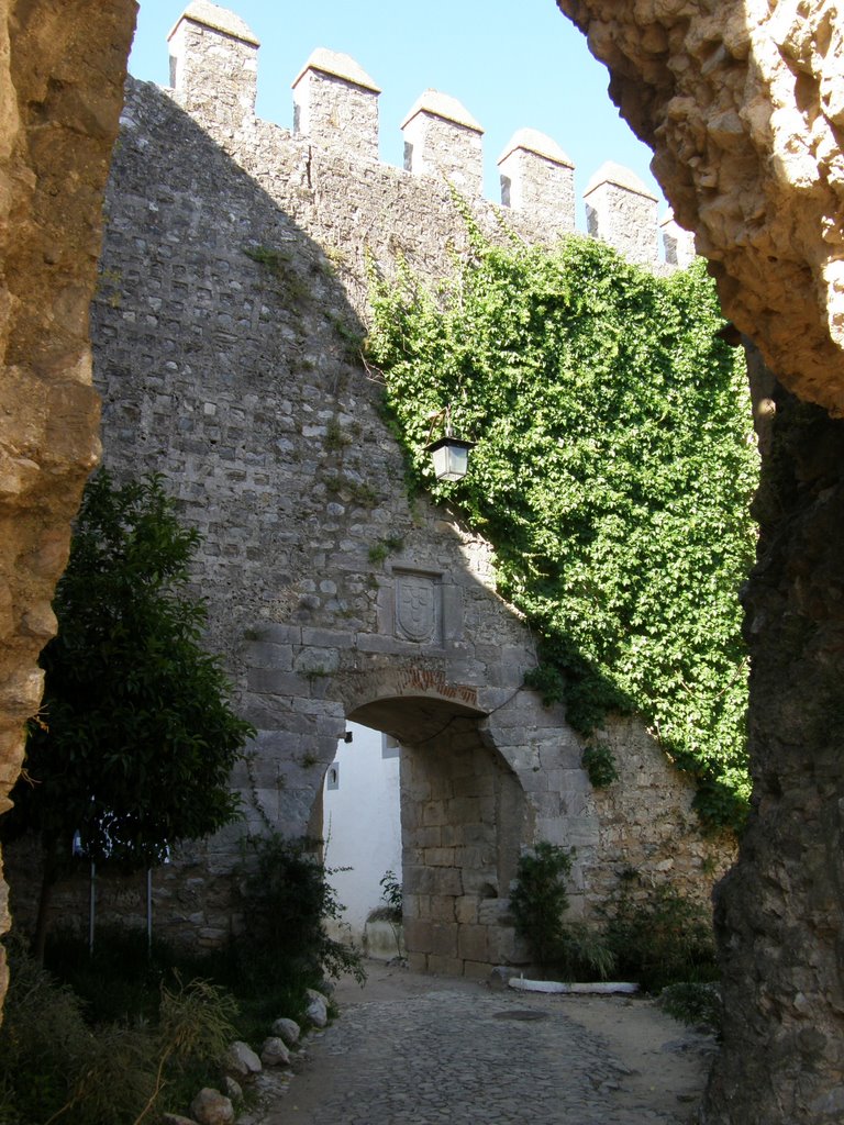 Acesso ao castelo by Luís Seixas