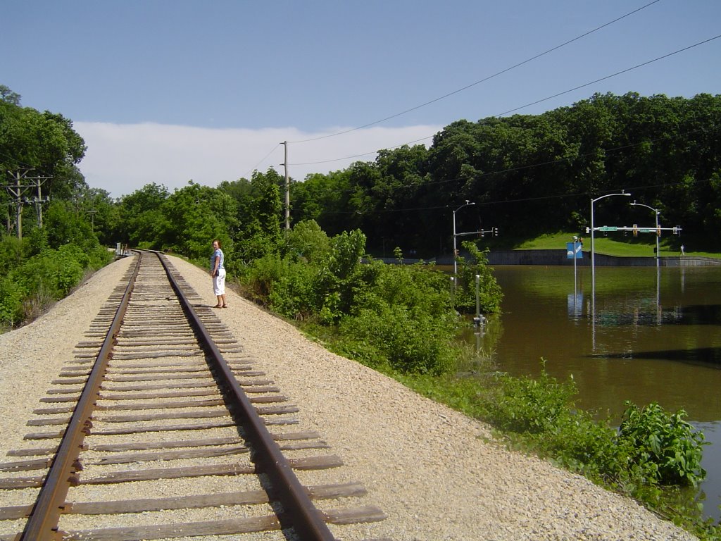 Looking back up the Railroad tracks. by dbeachy