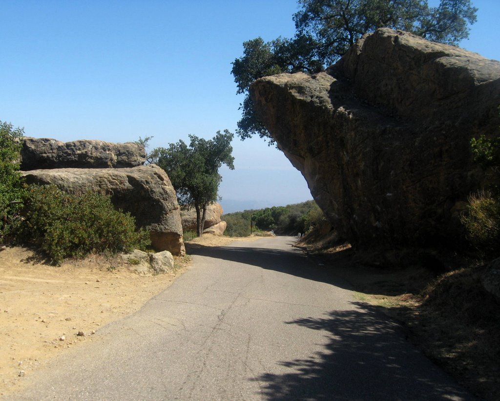 Forest Road-not suitable for larger vehicles! by blibby