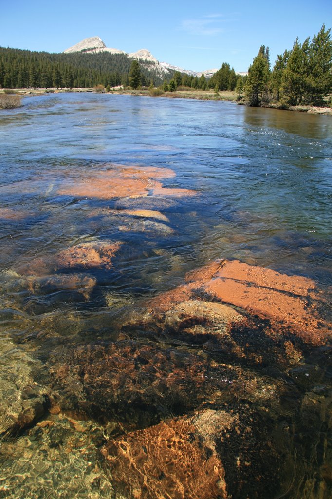 Tuolumne River, Yosemite National Park by davidcmc58