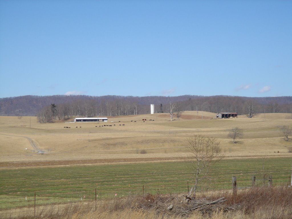 Near Whitethorne VA by DieselDucy