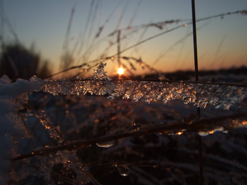 Zonondergang meestal by broem