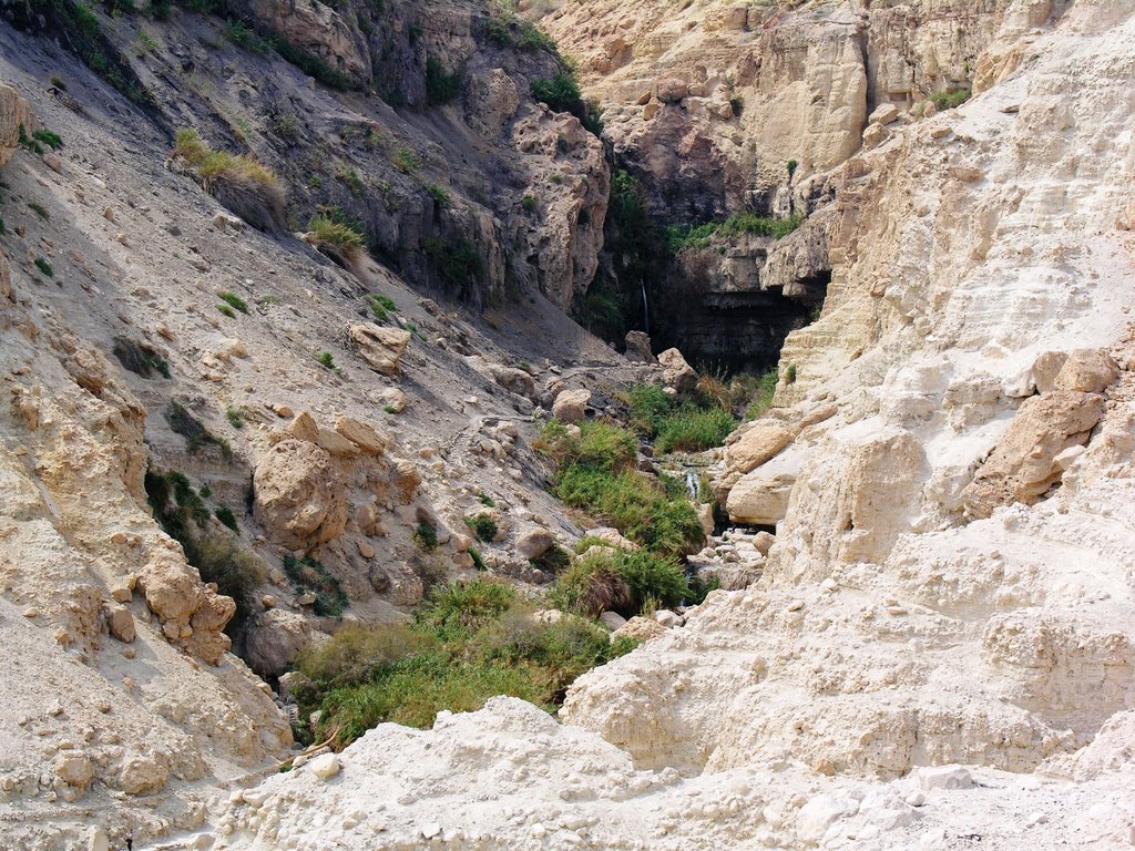 En Gedi wadi and falls (David hid here from Saul) by Dean Ohlman