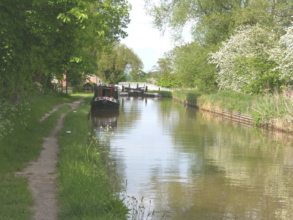 Moored up for the Evening by Morgi