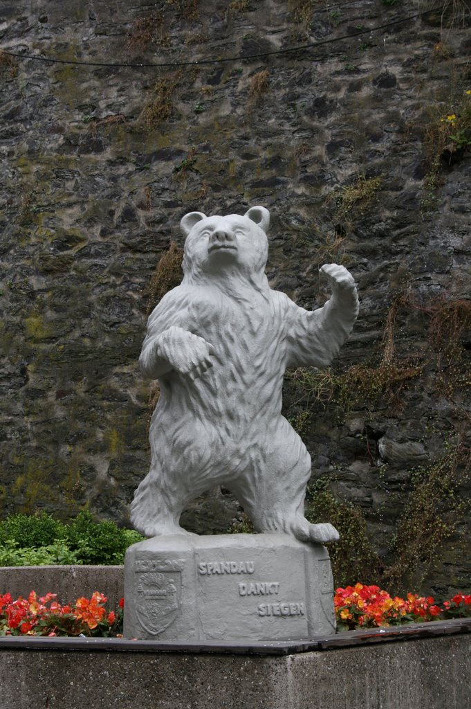 "Berliner Bär"- Siegen by Saujong