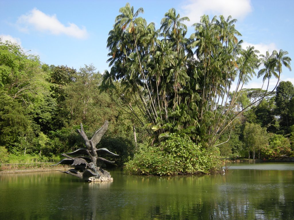 SINGAPORE, Botanic Gardens - Swan Lake by cvogt