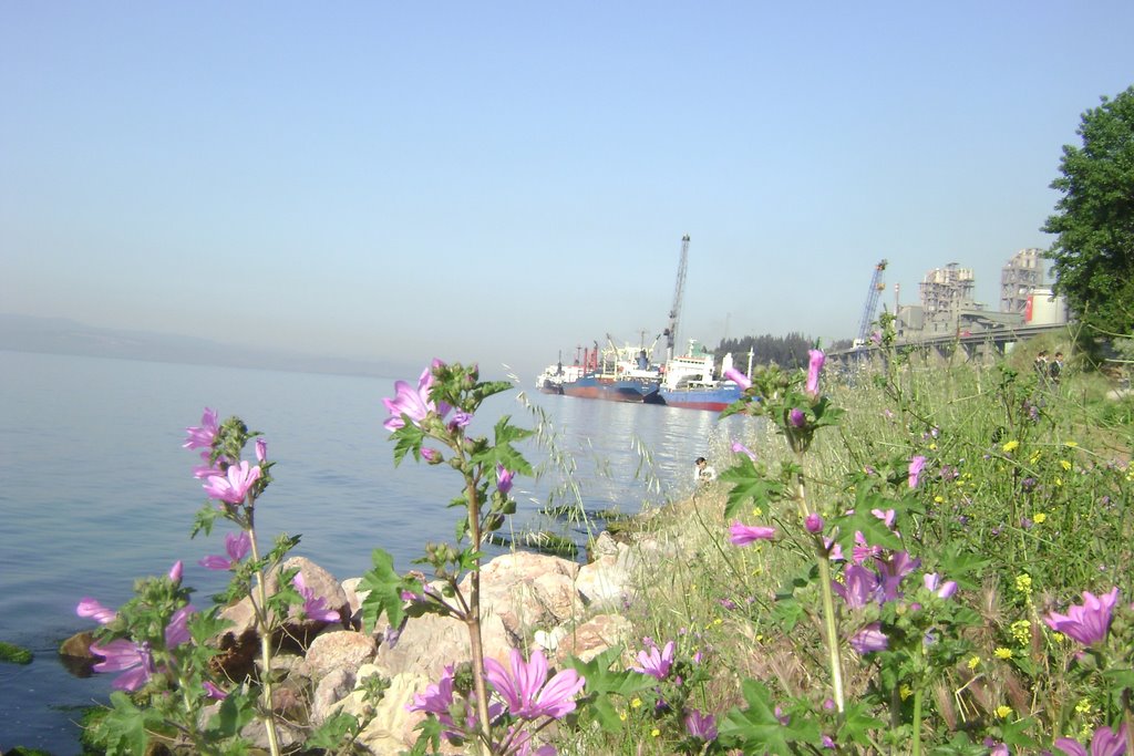 HEREKE-NUH ÇİMENTO E.M.L. ÖNÜNDEN by SEVAL ÖZTÜRK