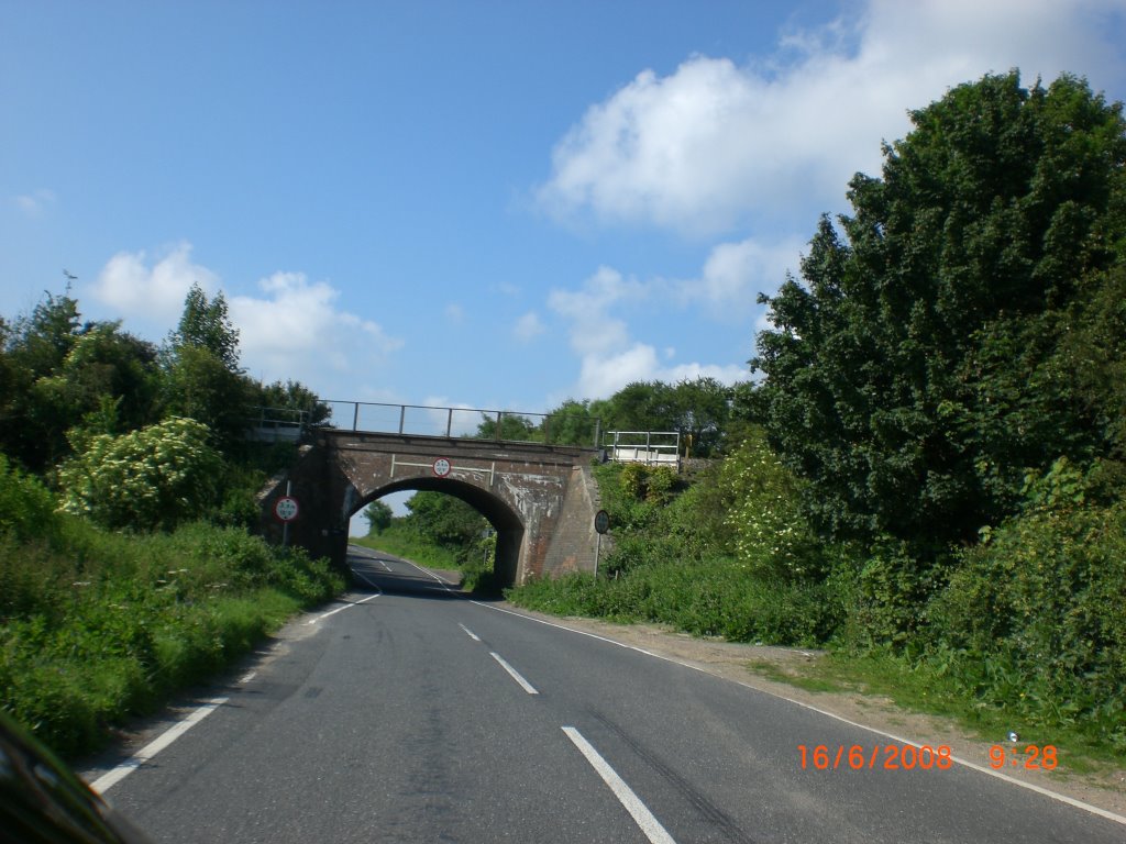 Bridge by posborne