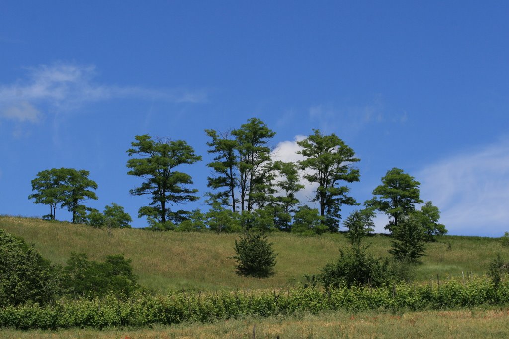 15050 Brignano-Frascata, Province of Alessandria, Italy by Massimo Crocco