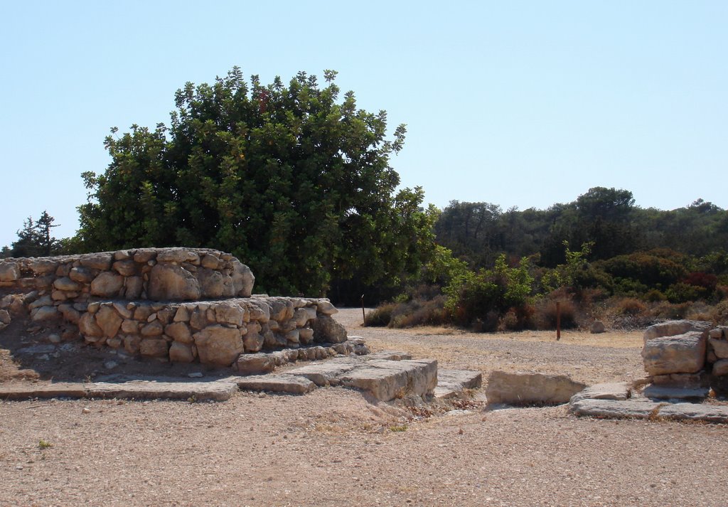 Kourion. There used to be a Circus... by Aquaria