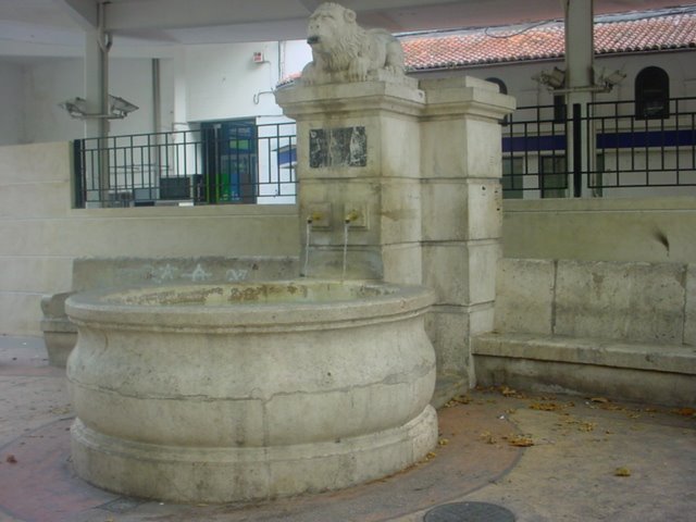 Font LLeó by fotologxativa