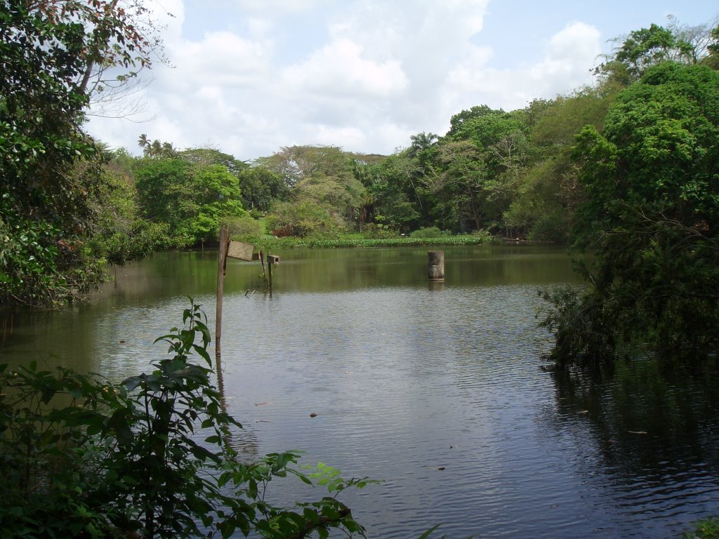 Pointe-a-Pierre Wildfowl Trust by Michael Grübner