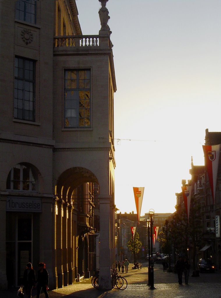 Brusselse bij ondergaande zon by Johan Byloos