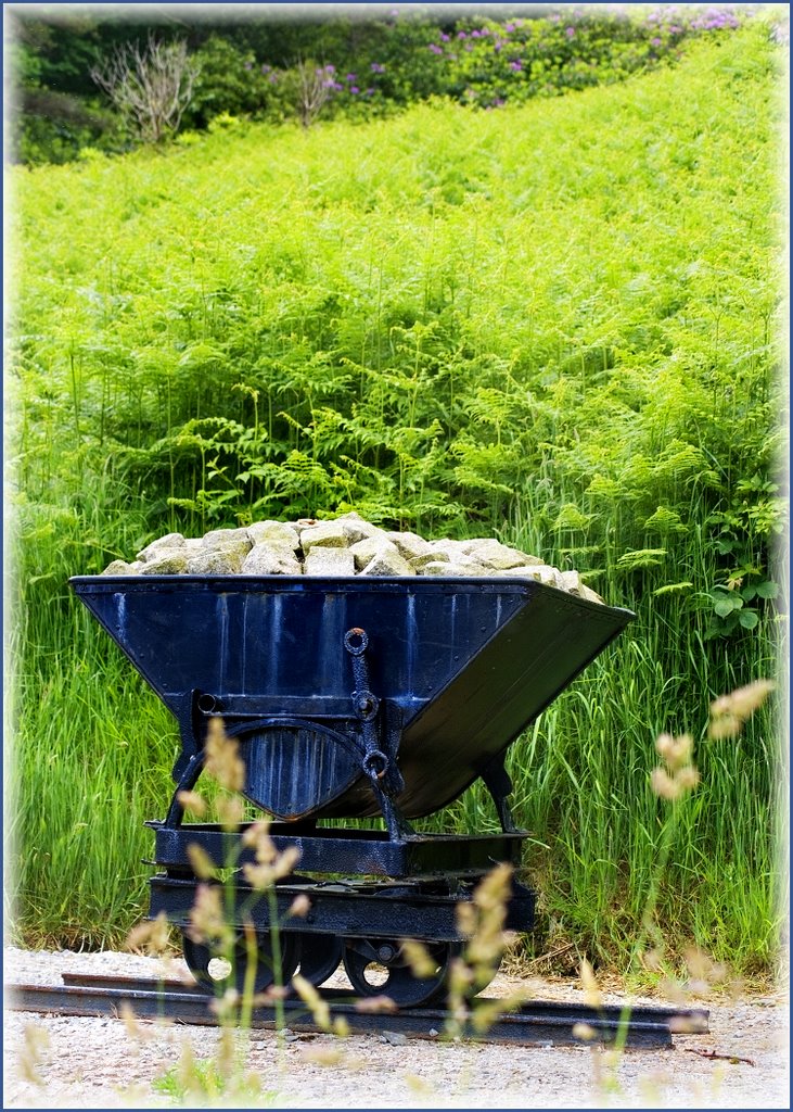 Replica 'Bogie' (wheeled wagon) Line from 'The Granite Trail' Newcastle Co Down by Madidi