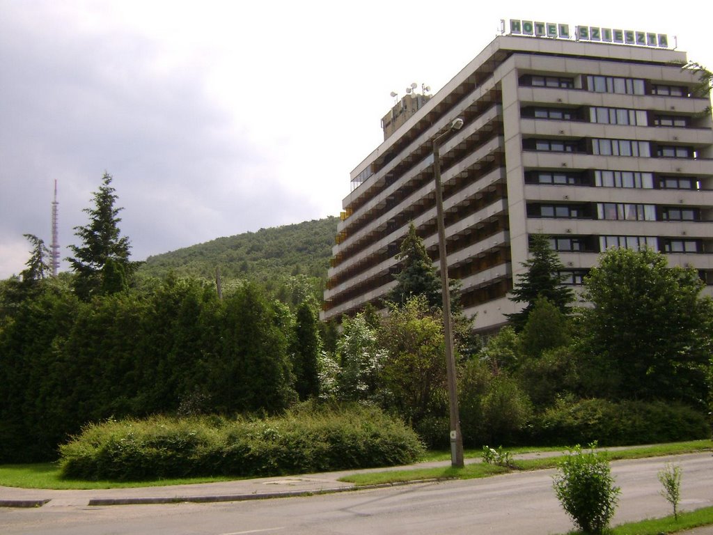 Hotel Szieszta, Sopron Mountains, 15.June,2008 by PanoramioHungary