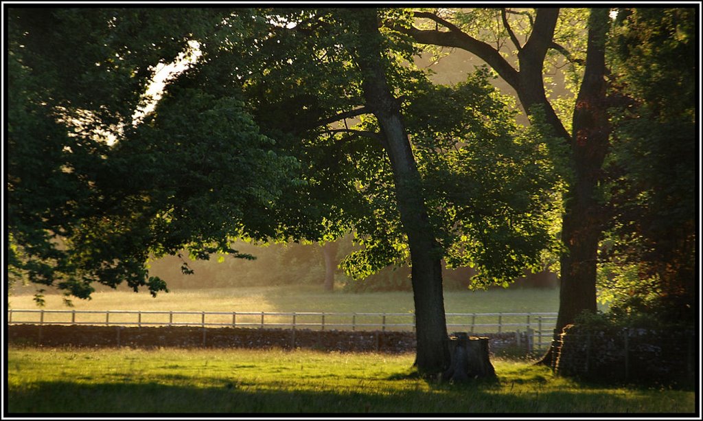 Evening light by Herb Riddle