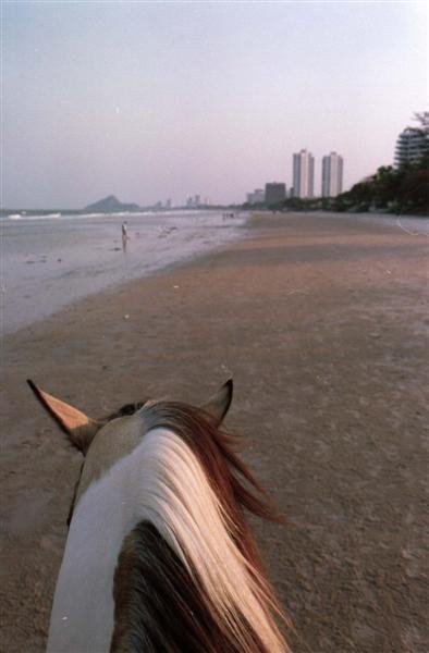 Riding in Hua Hin by Mallu Sommar