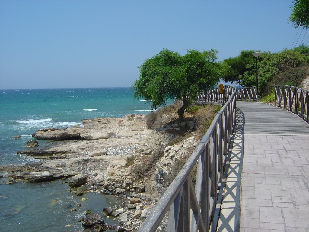 Amathus prom walkway by Leslie Johnson