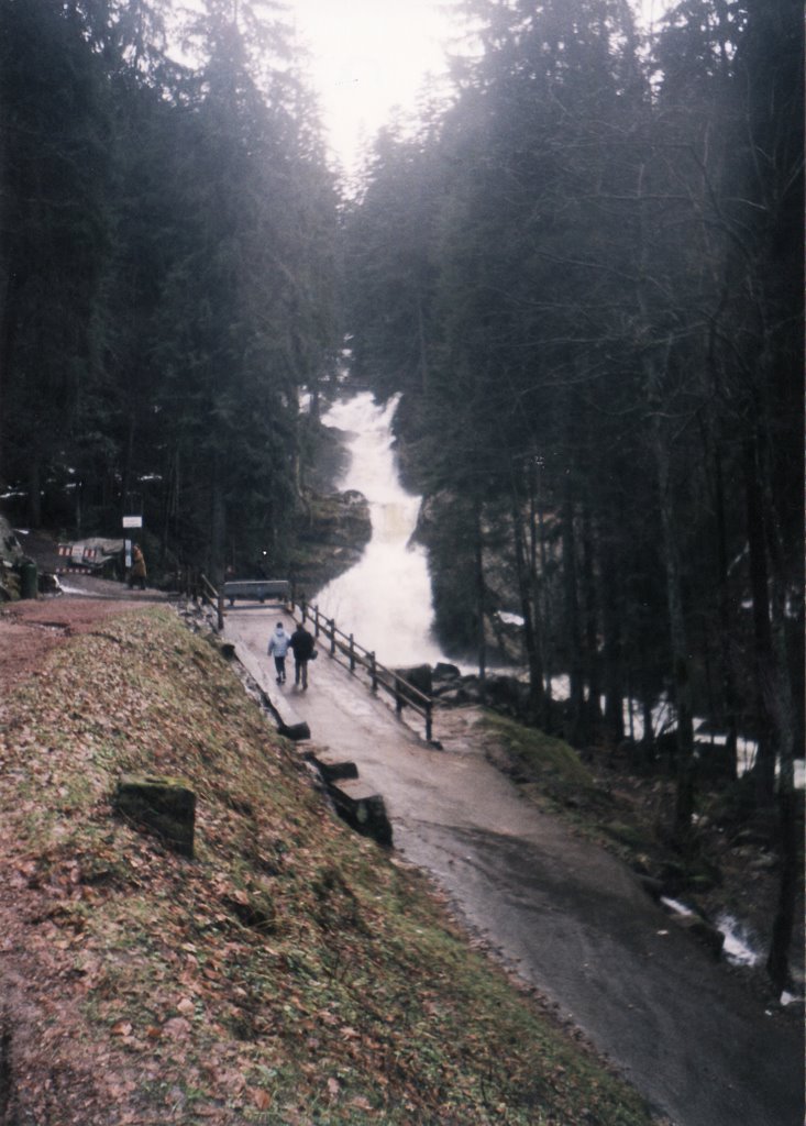 Waterfall in triberg - מפלי טריברג by bay111