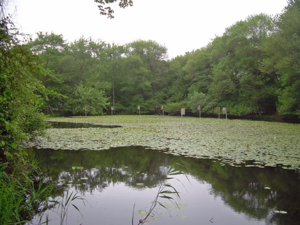 South Shore Nature Center by mortonfox