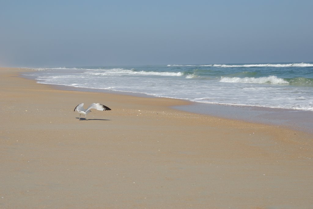 Flagler Beach by Bruce Moody