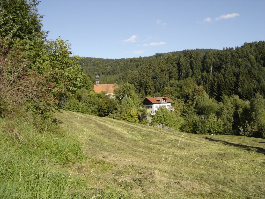 Bei Pürgl im Wald by larry7