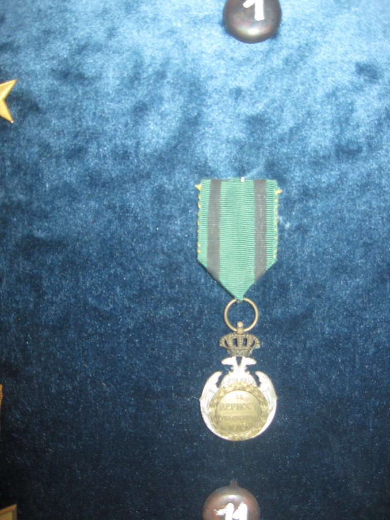 MEDAL ALBANSKA SPOMENICA by Sonja Sofronić