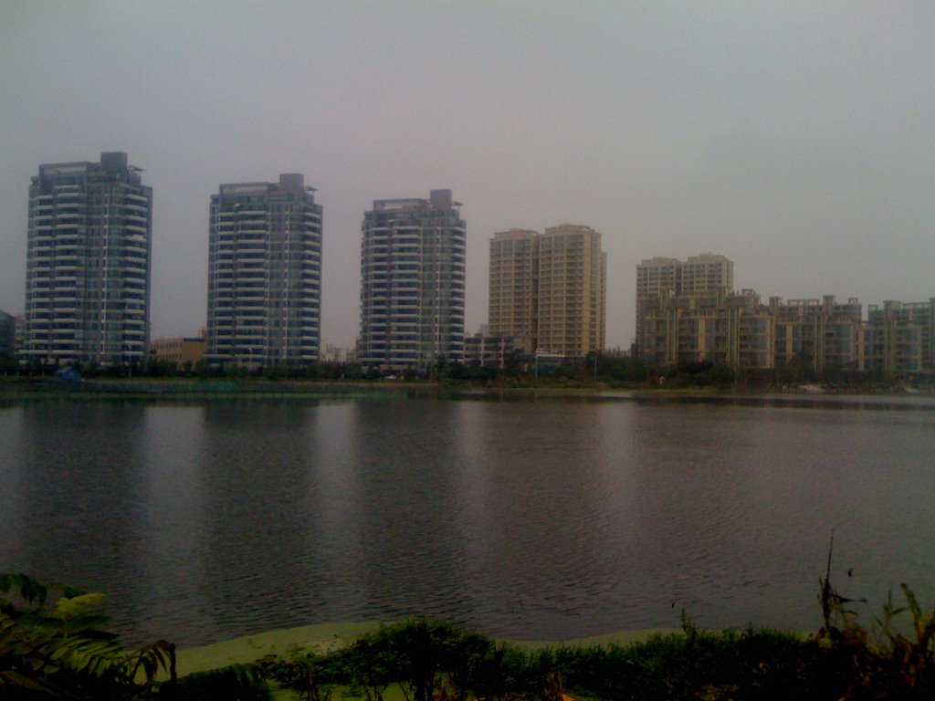 放鹤洲花园和东菱梅湾花园Fanghezhou Island Garden and Dongling-Meiwan Garden by 吴腾宇（BillStevenCarl）