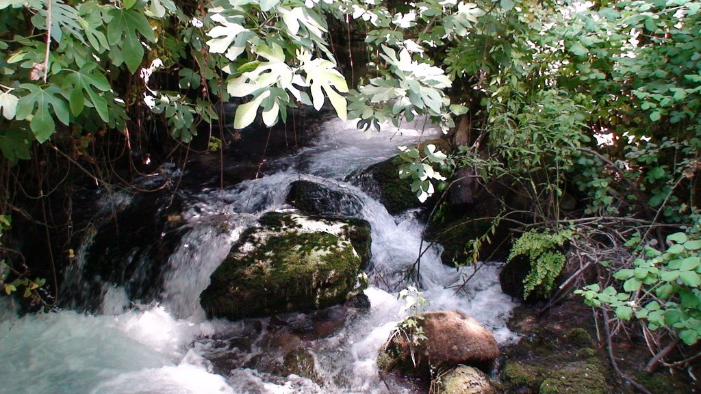 Banias Falls by Bruettemer