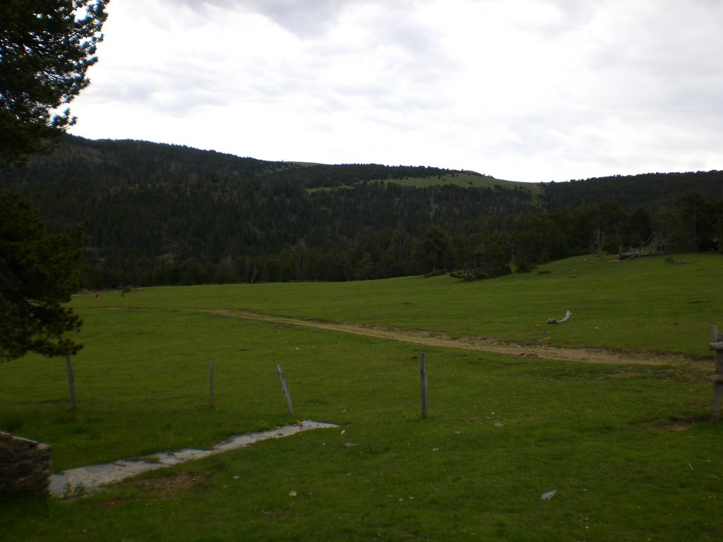 Refuge de l'orri d'andreu by fruss