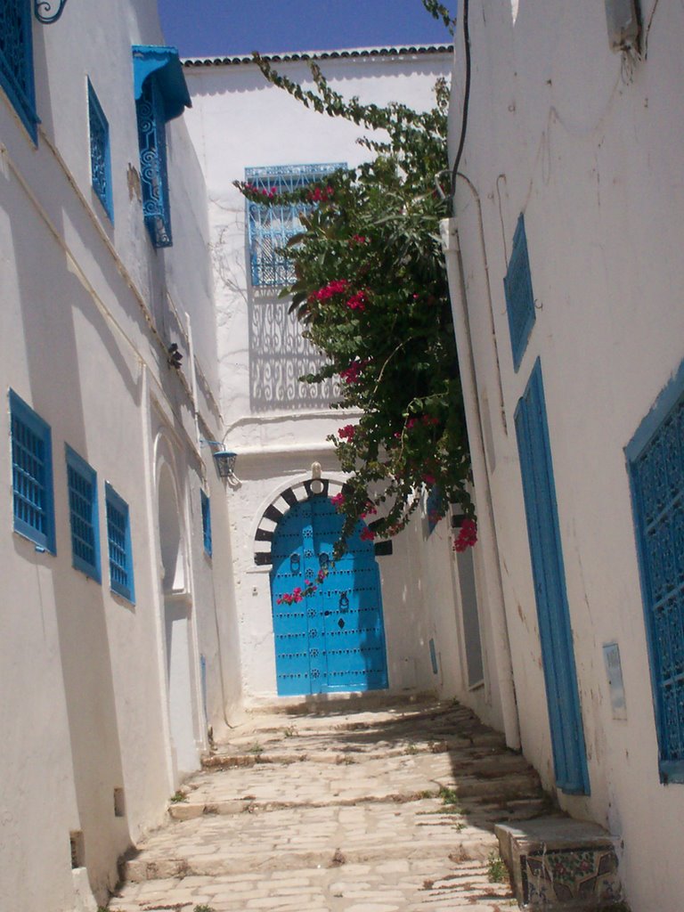 Sidi Bou Said, Carthage, Tunisia by Анастасия Рутковская