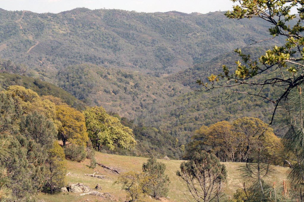 View east from Flat Frog Trail by Edward Rooks