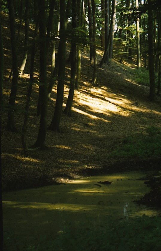 Gmina Łagów, Poland by Ilona Biskup