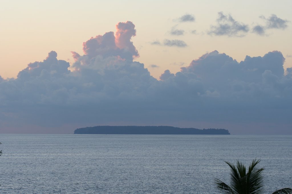 Cano Island as seen from Campanario Biological Station by Pholcid