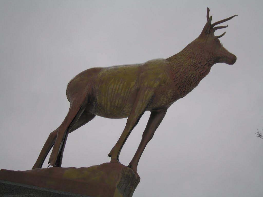 Brass Elk by weirdpix