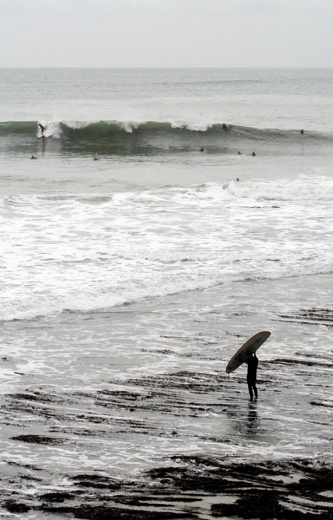 Surfers off Lighthouse Point by Edward Rooks