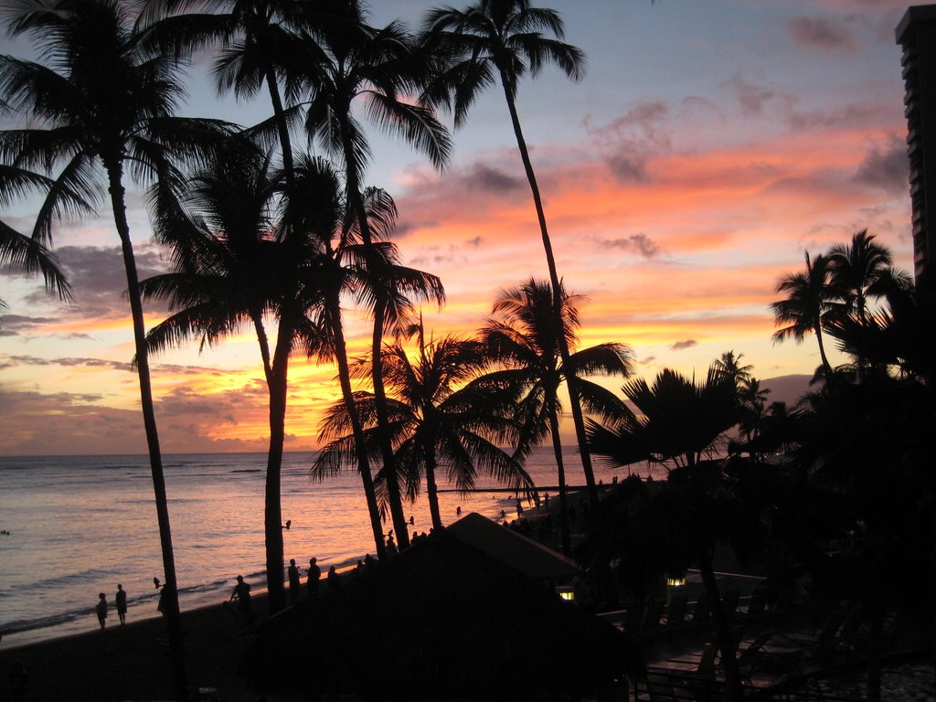 Waikiki Sunset by Jan Hallin